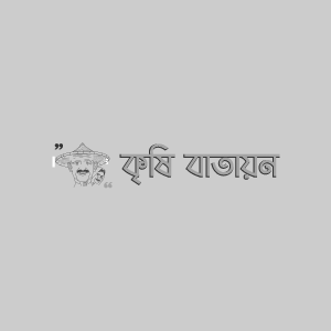 BU গাজর-১