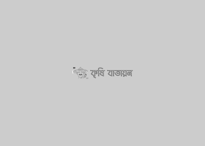 গ্রুপ ভিত্তিক কৃষি সম্প্রসারণ সেবা কার্যক্রম